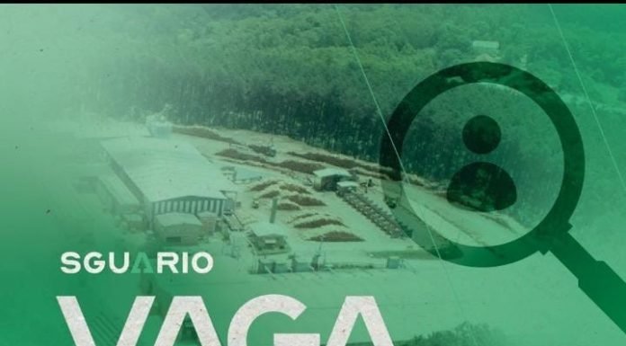 SGUARIO CONTRATA MECÂNICO FLORESTAL