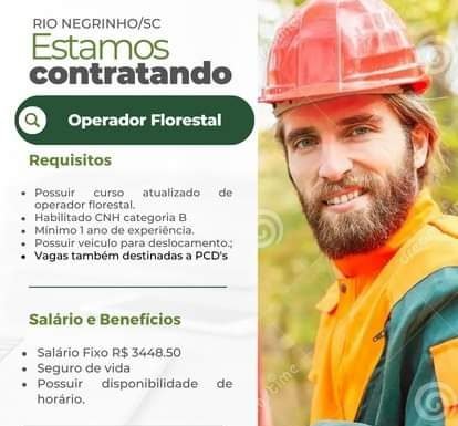 CIA VERDE LOGISTICA CONTRATA OPERADOR FLORESTAL – RIO NEGRINHO-PR (VOLTA GRANDE)