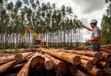 Suzano abre vaga para operador de Colheita Florestal