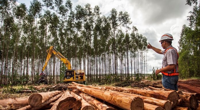 Suzano abre vaga para operador de Colheita Florestal