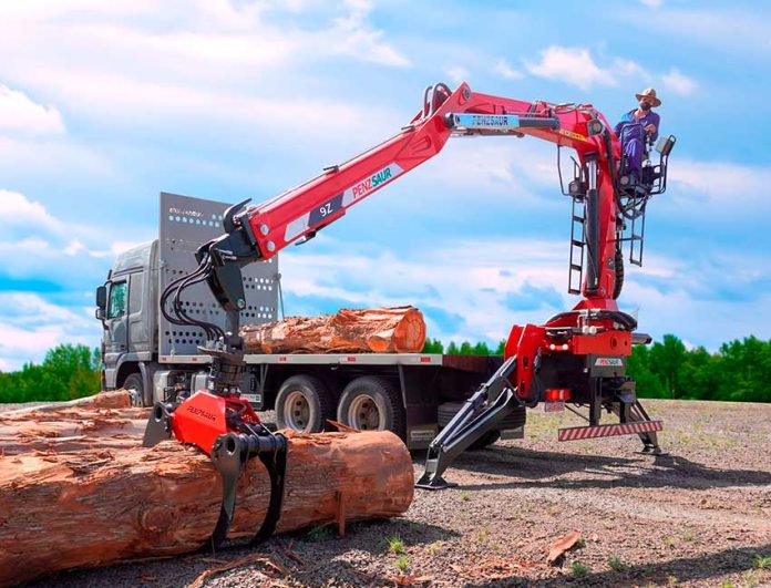 GRUA FLORESTAL