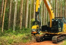 KLABIN CONTRATA OPERADOR DE HARVESTER E FORWARDER EM TELÊMACO BORBA – PR