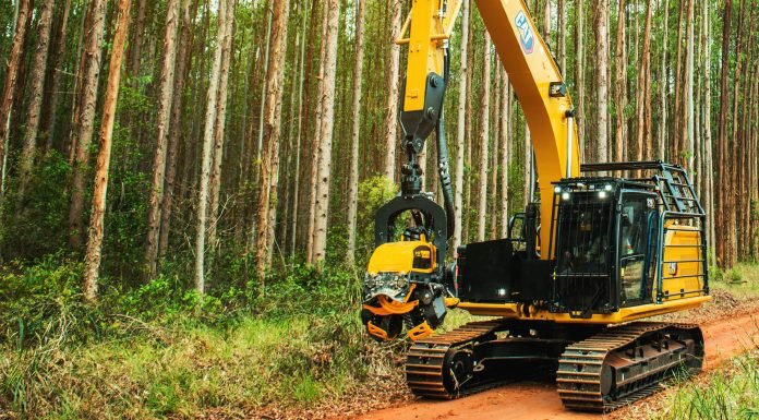 KLABIN CONTRATA OPERADOR DE HARVESTER E FORWARDER EM TELÊMACO BORBA – PR