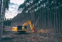 Klabin tem 120 vagas em aberto — oportunidades de Operador(a) de Máquinas Florestais