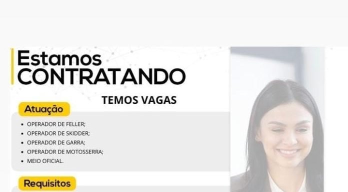 TERRABEL CONTRATA OPERADOR DE FELLER BUNCHER TERRABEL