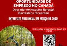 OPORTUNIDADE DE TRABALHO NO CANADÁ – ENTREVISTAS PRESENCIAIS EM MARÇO!