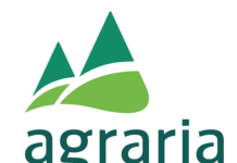 VAGA PARA AUXILIAR DE MECÂNICA – MÁQUINAS FLORESTAIS