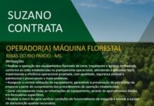 SUZANO CONTRATA OPERADOR DE MÁQUINAS FLORESTAIS