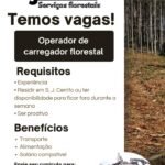 vaga EJR