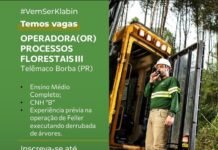 Klabin Contrata operador de máquinas florestais III – Inscrições até hoje