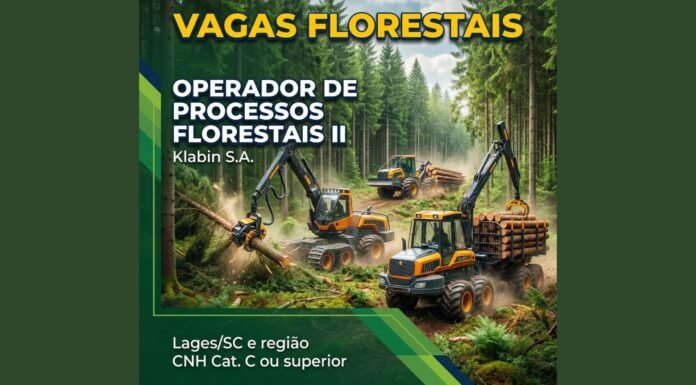 Klabin abre vaga para Operador Processos Florestais II em Lages/SC e região