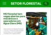 MS Florestal tem vagas em aberto para operador de máquinas florestais – Trainee