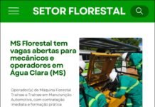 MS Florestal tem vagas em aberto para operador de máquinas florestais – Trainee