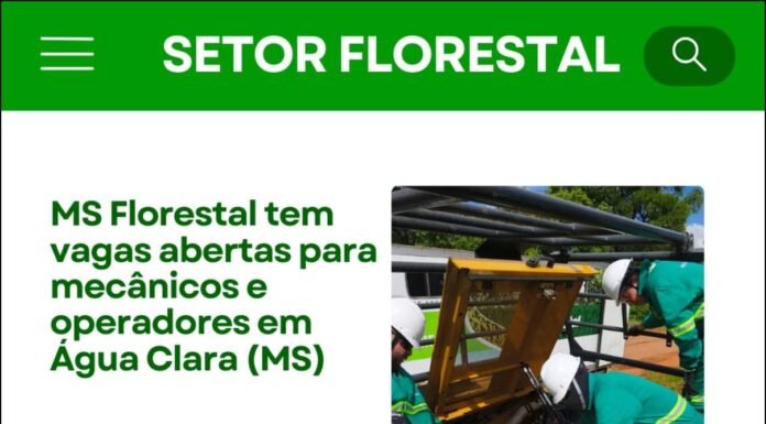 MS Florestal tem vagas em aberto para operador de máquinas florestais – Trainee