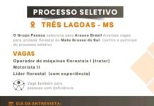 Processo Seletivo Arauco – Operador de máquinas florestais I – Motorista II e Líder Florestal