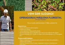 Suzano abre novas vagas para operador de Harvester e Forwarder – Prazo inscrição até amanhã 30/03
