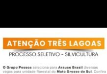 Arauco abre processo seletivo para Operador de Equipamento Florestal em Três Lagoas (MS)