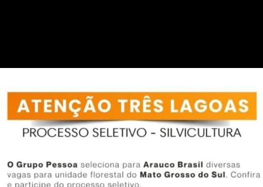 Arauco abre processo seletivo para Operador de Equipamento Florestal em Três Lagoas (MS)