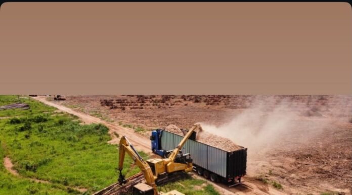 Vaga para operador mantenedor de máquinas florestais