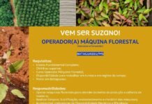 Suzano Contrata Operador de Harvester e Forwarder – Inscrições até dia 30