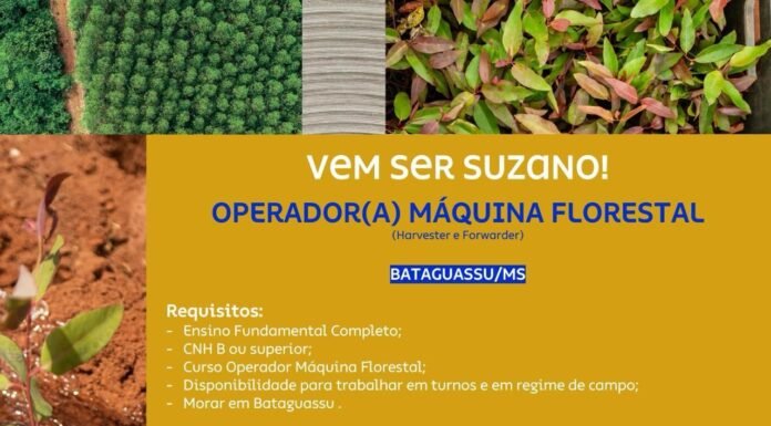Suzano Contrata Operador de Harvester e Forwarder – Inscrições até dia 30