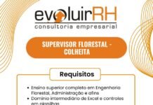 ARAUCO CONTRATA SUPERVISOR DE COLHEITA FLORESTAL