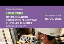 Operador Processos Florestais III | Telêmaco Borba/PR