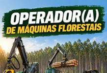 KLABIN CONTRATA OPERADOR DE MÁQUINAS FLORESTAIS – ARAPOTI – PR