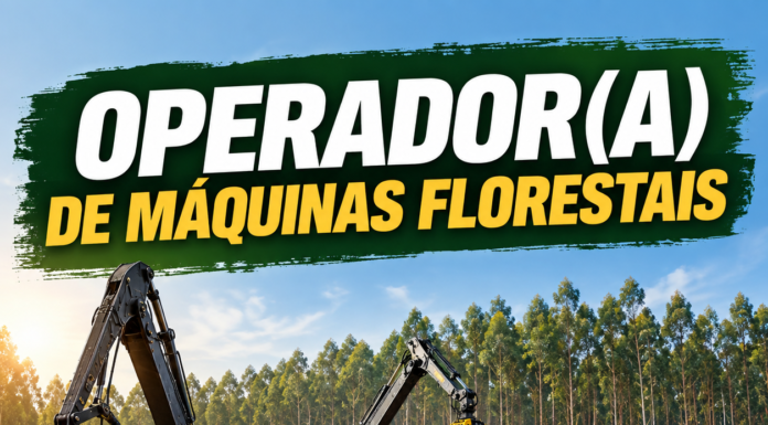 KLABIN CONTRATA OPERADOR DE MÁQUINAS FLORESTAIS – ARAPOTI – PR