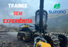Suzano abre vagas para quem deseja aprender a operar máquinas florestais; ensino fundamental e CNH B são suficientes!