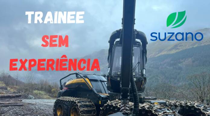 Suzano abre vagas para quem deseja aprender a operar máquinas florestais; ensino fundamental e CNH B são suficientes!