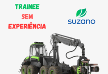 🚨 ÚLTIMO DIA! Suzano encerra hoje as inscrições para Operador de Máquinas Florestais Trainee; veja como participar!